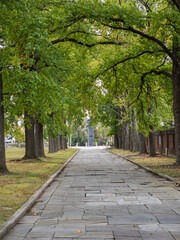 Stone path lined with oak trees leading to a monument at Fort Christina Park, Wilmington, Delaware