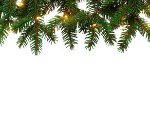 Christmas tree branches with fairy lights