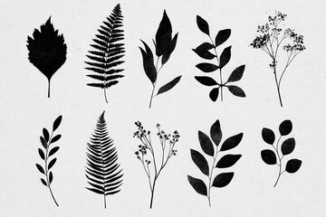 Unique plant silhouettes on textured light background, featuring diverse shapes and sizes including leaves, ferns, and delicate branches with small flowers, perfect for botanical designs and decor