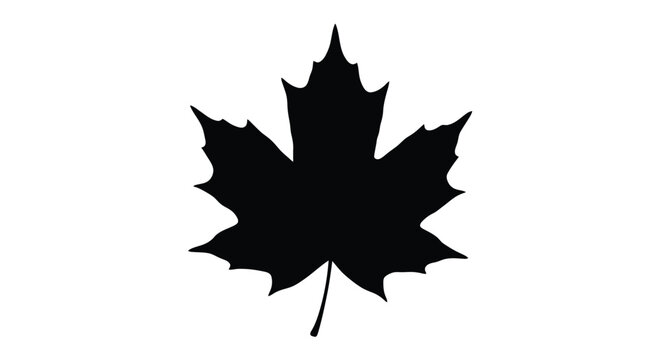 A simple black silhouette of a maple leaf against a white background