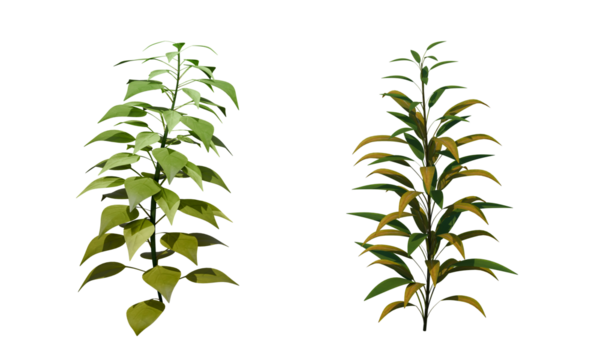 greenery branch leaves twigs floral plant forest herbs isolated on white background. Botanical spring summer leaf illustration 3d render - Powered by Adobe