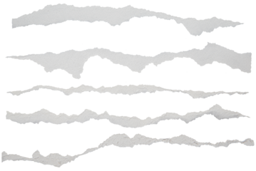 set Torn of paper, ripped white paper sheets isolated on transparent background. 
