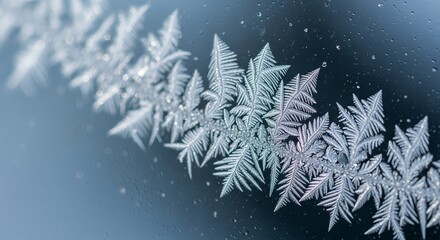 Intricate frost patterns forming delicate fern like ice crystals on a cold windowpane in winter