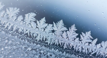 Intricate ice crystals forming delicate fern like patterns on a frosted window pane during winter