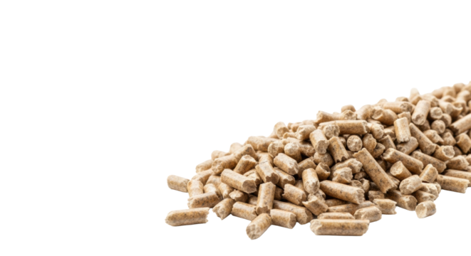 Meticulously arranged pile of uniform, natural wood-tone pellets on a transparent studio background with copy space, macro lens, soft bokeh, renewable energy concept