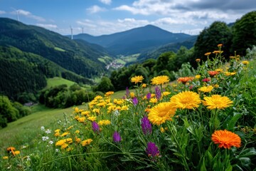 Obraz premium A vibrant meadow with colorful wildflowers in the foreground, backed by rolling green hills and distant mountain peaks under a bright blue sky.