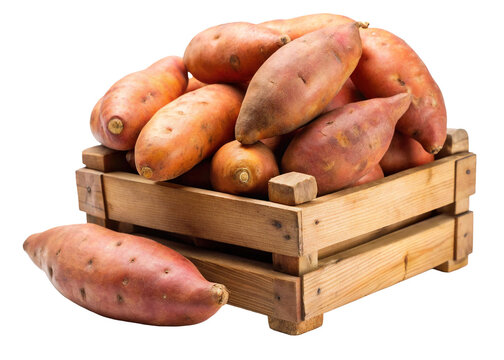 A rustic wooden crate overflowing with vibrant orange sweet potatoes isolated on transparent background