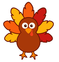 Cute baby turkey with colorful fall feathers, Thanksgiving bird