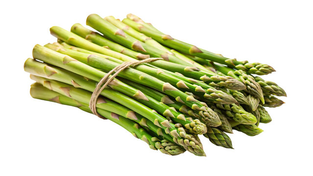 Fresh green asparagus spears tied together with twine isolated on transparent background
