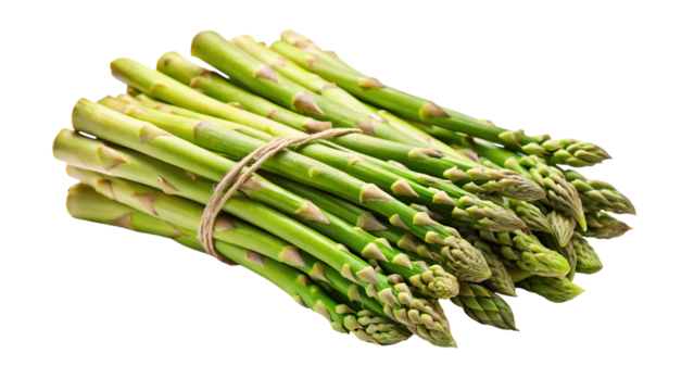 Fresh green asparagus spears tied together with twine isolated on transparent background