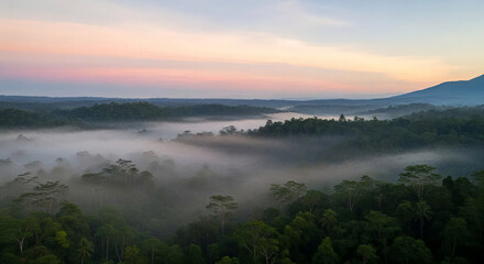 Fototapeta premium Bali Foggy Jungle Dawn