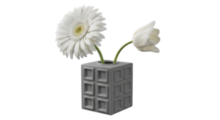 Two delicate white gerbera daisies in a textured geometric vase isolated on transparent background