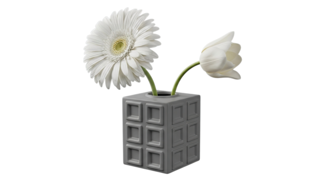 Two delicate white gerbera daisies in a textured geometric vase isolated on transparent background