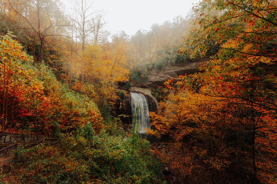 Moody and foggy mountain forest with autumn waterfall
