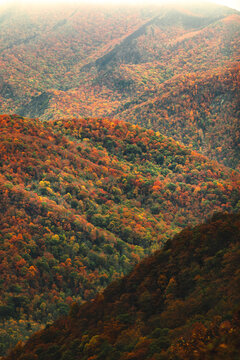 Layers of autumn colors in the mountains