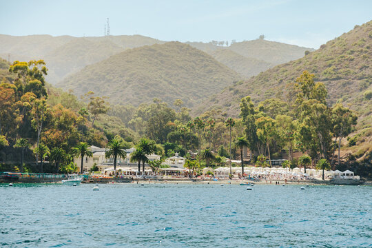Beachside club and bar