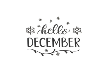 Hello december text with snowflakes and branches isolated on transparent background