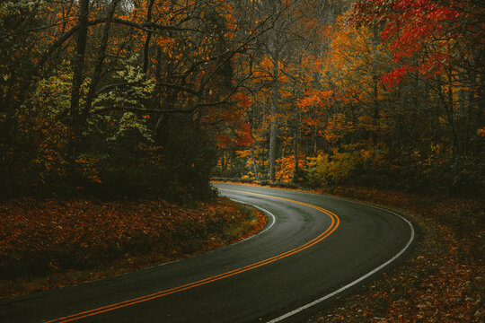 Spot of light on moody mountain road with fall colors