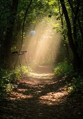 Obraz premium Sunlight illuminating a winding trail, showcasing equipment ready for recreational movement and healthy outdoor activity ,healthy lifestyle ,cycling ,afternoon