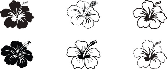 Hibiscus Blossoms Design: An elegant collection of meticulously crafted hibiscus blossom designs, exuding simplicity and botanical charm, perfect for adding a touch of floral beauty.