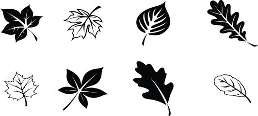 Leaf Variety Collection: A diverse collection of artistic leaf illustrations, showcasing intricate details and natural forms, perfect for design resources or nature-themed projects.
