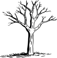 Bare Tree Silhouette: A stark black and white depiction of a leafless tree, showcasing the stark beauty of nature's stark form and skeletal branches.