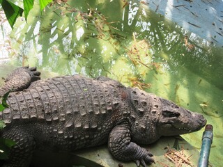 Mysore im Süden Indiens