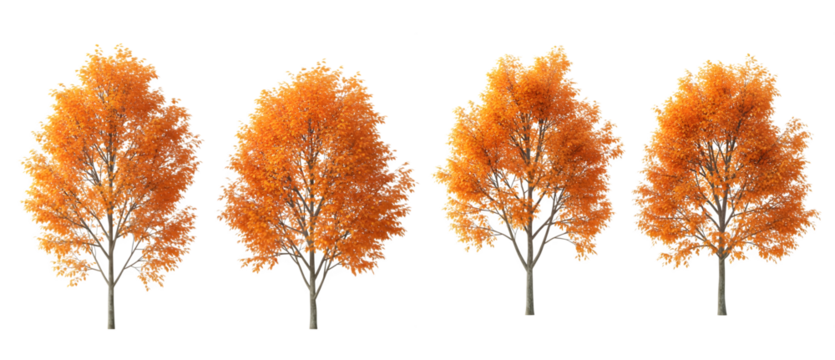Collection of four vibrant orange autumn trees, perfect for seasonal designs generative ai illustration