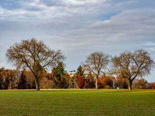 Hoch und Jägersitz am Waldrand