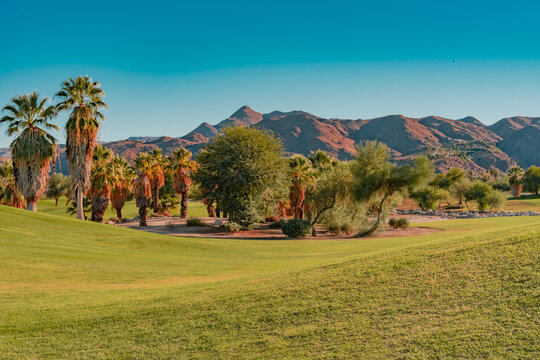  Palm Trees and trees fill a green belt making it look like an oasis in Palm Springs, California