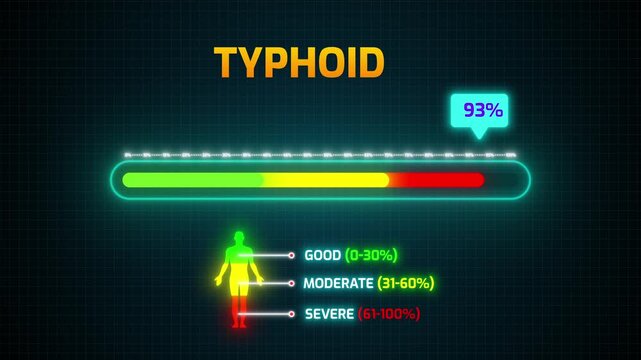 Typhoid Severity Risk Meter Animation | Digital HUD with Percentage Counter and Human Silhouette Infographic 4k video