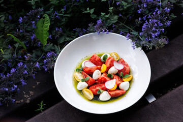 Bright Tomato Burrata Salad With Radish Slices and Olive Oil Drizzle