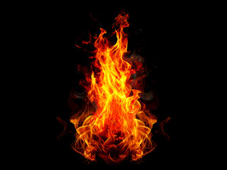 Fototapeta premium Collection of Bright, fiery flames rising against a dark black background and Transference 