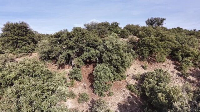 Dron subiendo