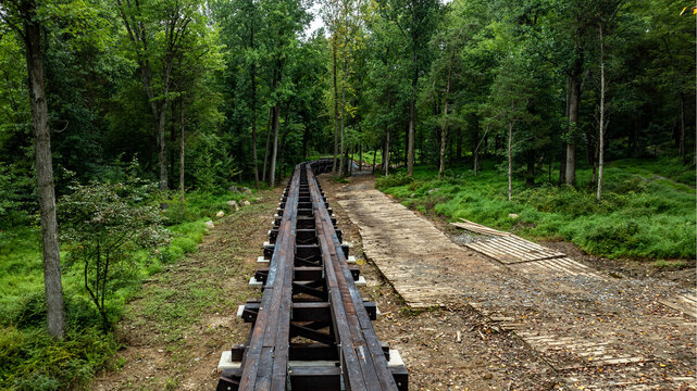 The setting features an old wooden railway track extending into a dense forest. Sunlight filters through the trees, creating a serene atmosphere perfect for exploration and nature walks.