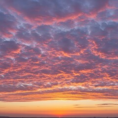 Fototapeta premium Wide panoramic view of a beautiful sunset sky filled with delicate, soft light pink and orange clouds at dusk, evening, colorful, heaven