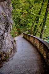 Wooden boardwalk curving along the forested shoreline of Lake Bled, Slovenia, on a bright summer morning with calm blue water and distant mountain views.
