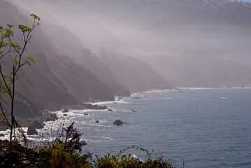 Foggy scene on Big Sur Coastline, USA