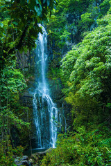 Waterfall scene on Maui