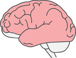 vector human brain isolated on white