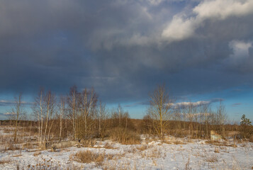 Field of trees with snow on the ground and a cloudy sky