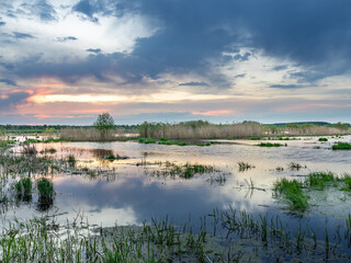 Calm lake with a cloudy sky in the background