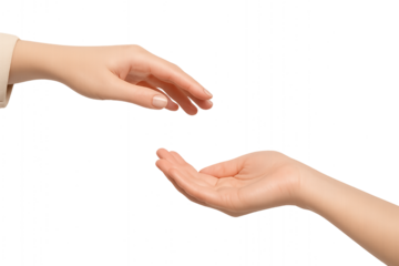 Woman's hands giving and receiving, a concept of charity or sharing. Isolated on transparent background, png