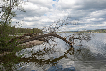 A stunning lake landscape framed by forest trees and distant mountains. Calm water, natural colors, and peaceful scenery create a perfect outdoor nature view.