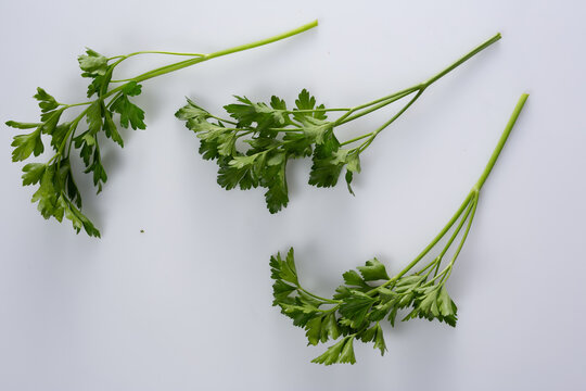 Fresh Parsley