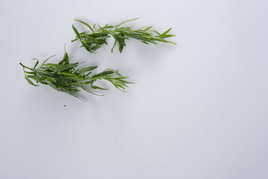 Fresh Rosemary Sprigs