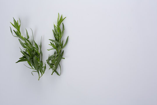 Fresh Rosemary Sprigs