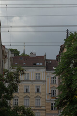 overcast urban rooftops framed by trees, pastel historic facades rise behind tangled utility wires, chimneys