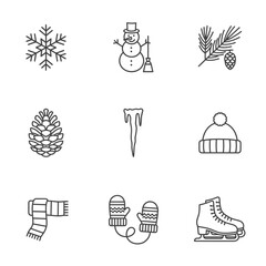 Winter-themed icon set featuring snowflakes, snowman, and pine elements