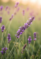 Fototapeta premium Delicate clusters of lavender and violet wildflowers gently swaying in a luminous pastel green meadow during the serene springtime, ethereal, natural, light